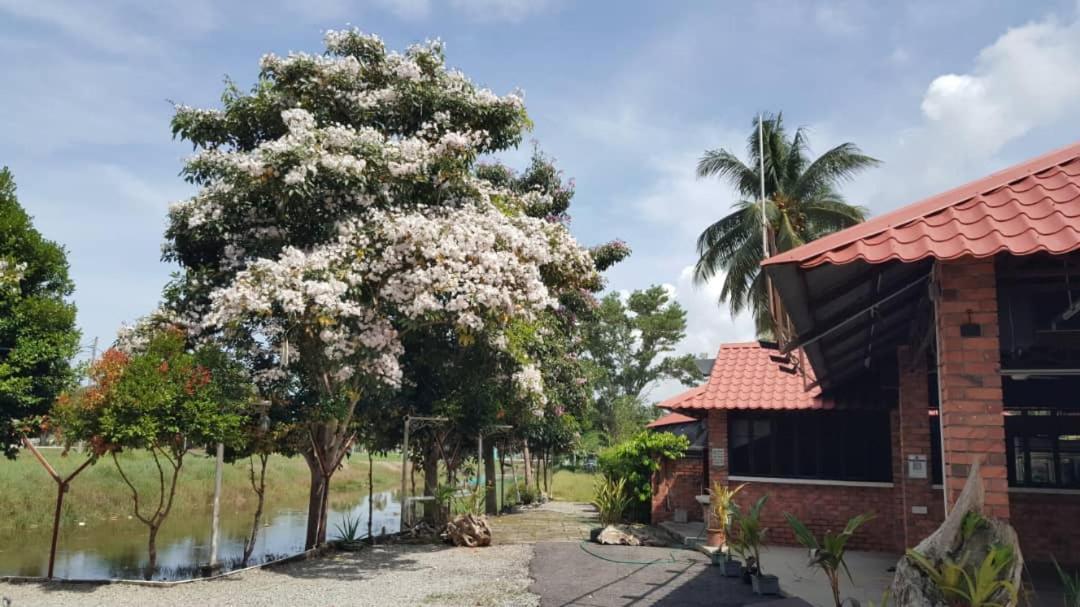 Homestay Umbai Kelana Merlimau Bagian luar foto