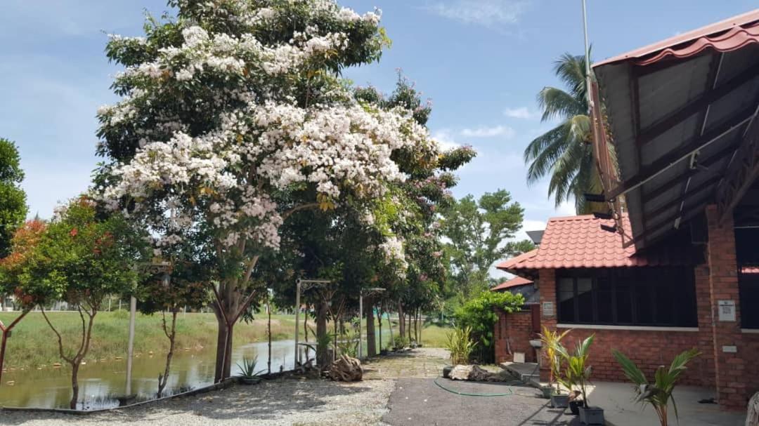 Homestay Umbai Kelana Merlimau Bagian luar foto